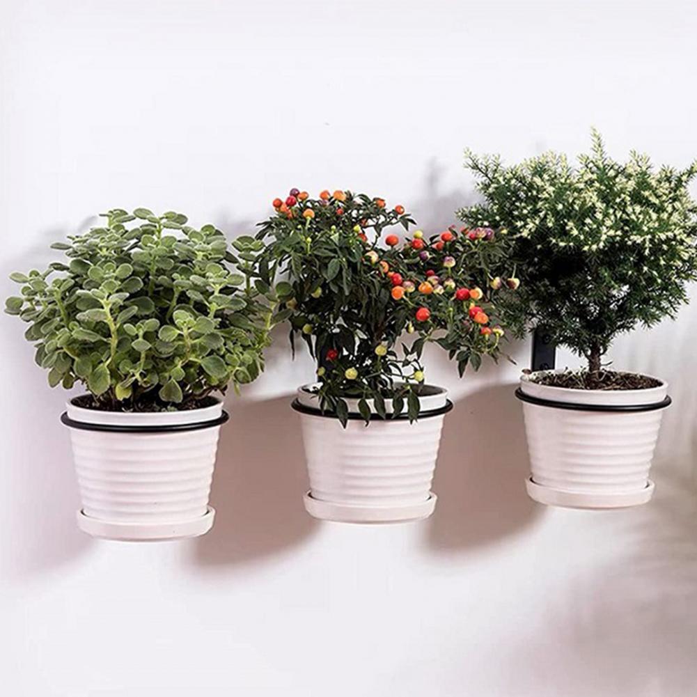 4/5/6/8 Inches Metal Flowerpot - Screw Organizer Kit ulasan dan harga