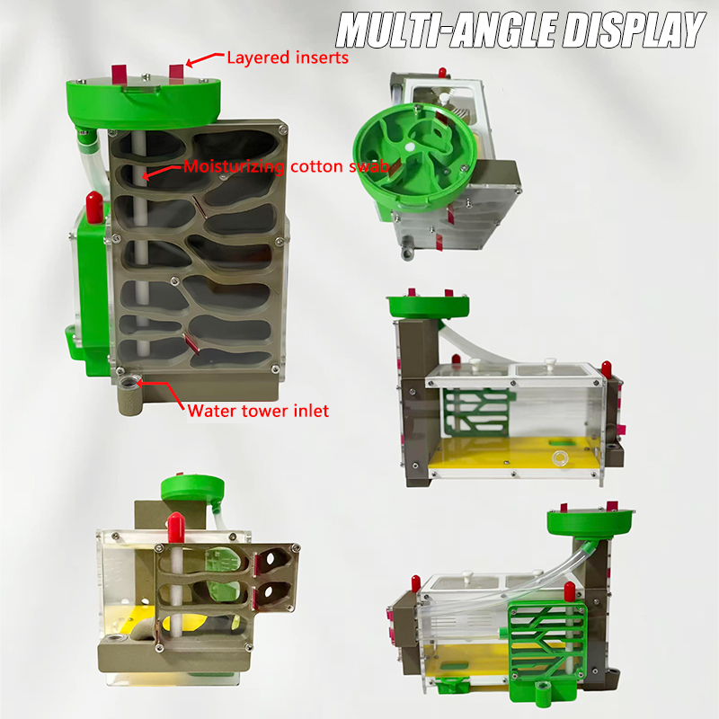 3D Printing Fully Transparent  - Tools Box For Workshop ulasan dan harga